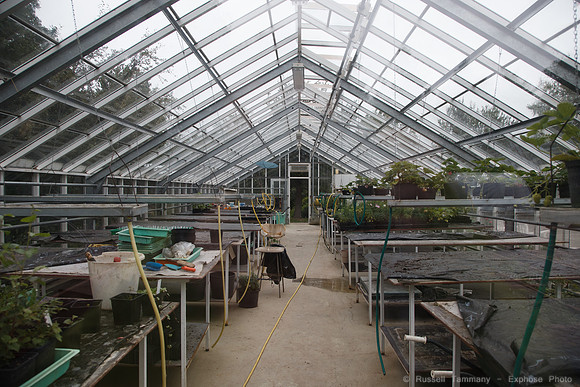 Lystigarðurinn á Akureyri (Botanical Gardens)