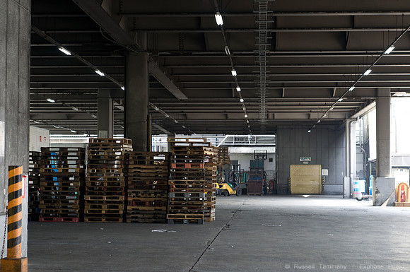 Tsukiji Fish Market