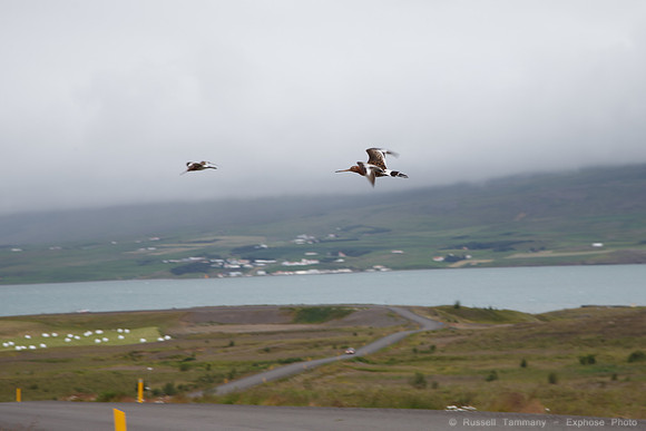 North East Iceland, Hwy 82