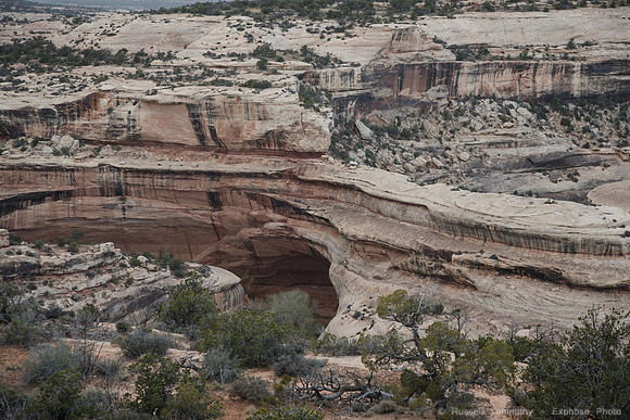Natural Bridges Natl Monument