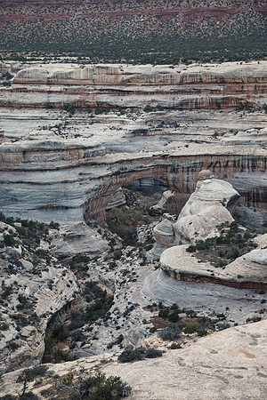 Natural Bridges Natl Monument