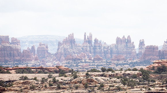 Colorado Overlook Trail, Needles, Canyonlands NP