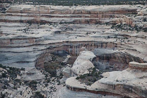 Natural Bridges Natl Monument