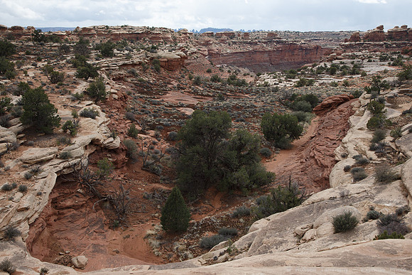 Colorado Overlook Trail, Needles, Canyonlands NP