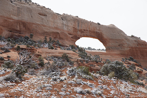 Wilson Arch