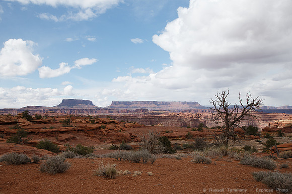 Colorado Overlook Trail, Needles, Canyonlands NP