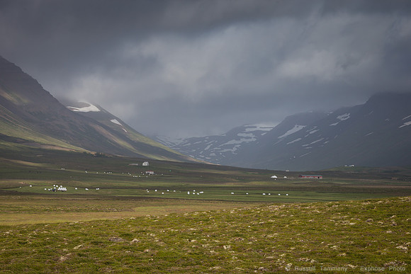 Along Skagafjörður