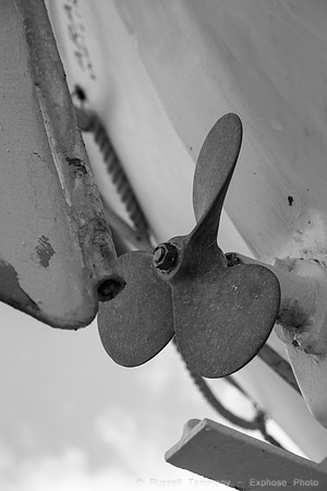 1DX_3956