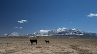 Some Ranch Road