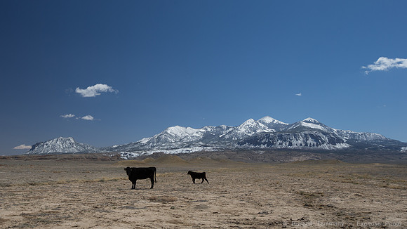 Some Ranch Road