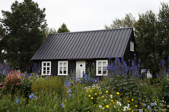 Lystigarðurinn á Akureyri (Botanical Gardens)