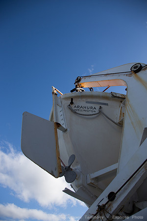 1DX_3959