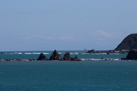 1DX_3786