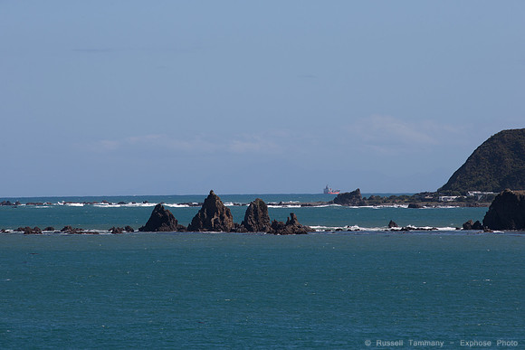1DX_3786