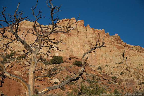 Capitol Reef NP