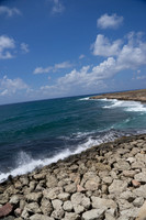 DSC05549
