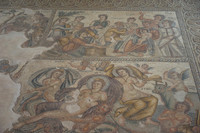 DSC05575