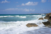 DSC05502