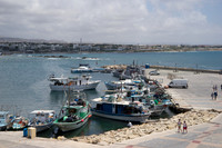 DSC05554