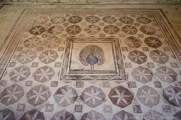 DSC05633