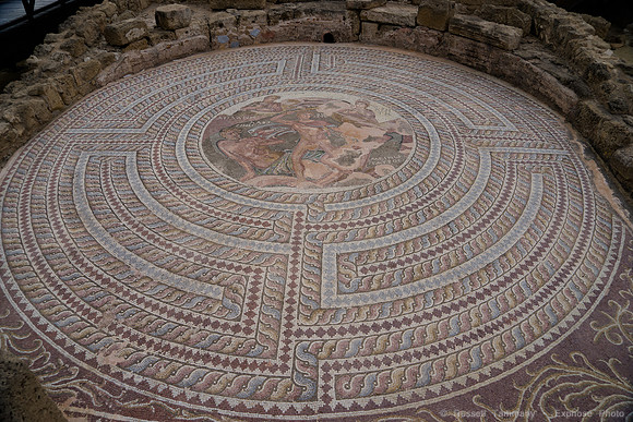 DSC05585