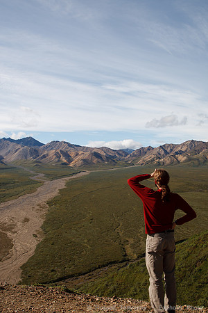 Denali NP