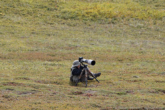 Denali NP