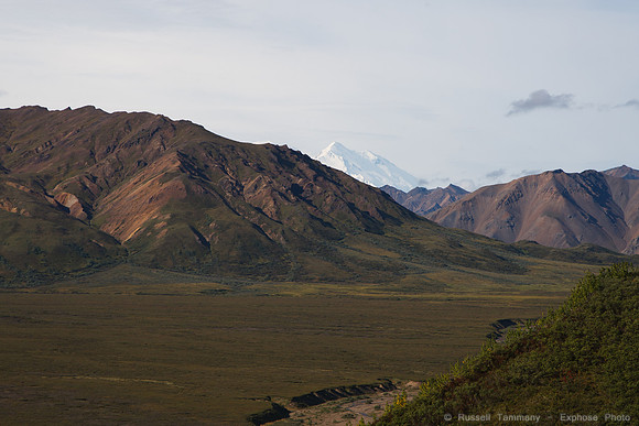 Denali NP
