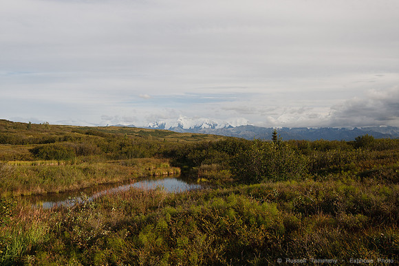 Denali NP