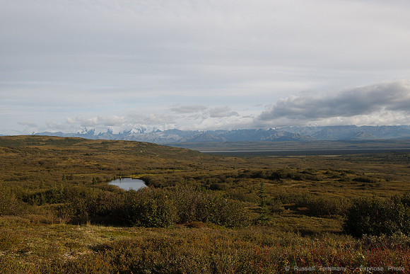 Denali NP