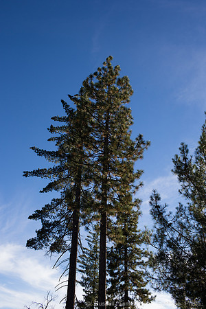 1DX_1465
