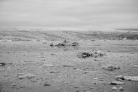 Jökulsárlón