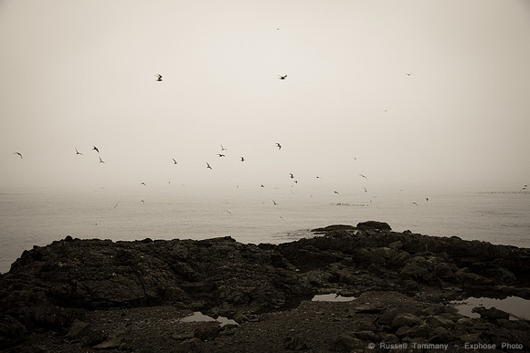 East Iceland, Ring Road 1