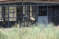 Reno Animal Ark
