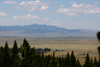 CA-49