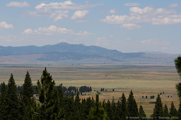 CA-49