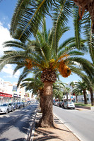 Ibiza - Town
