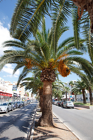 Ibiza - Town