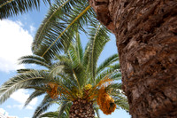 Ibiza - Town