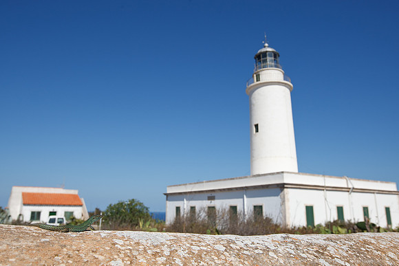 Formentera - Far De La Mola