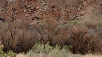 Mineral Bottom Rd