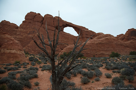 Skyline Arch, Arches NP