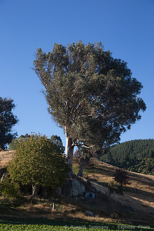 1DX_4457