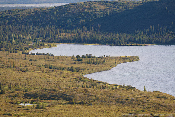 Denali NP