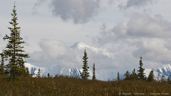 Denali NP