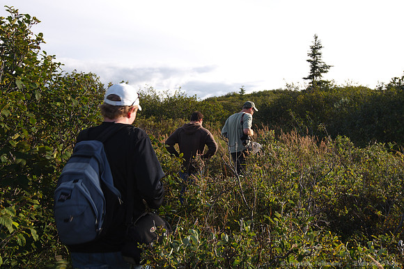 Denali NP