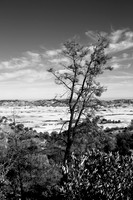 1DX_1419