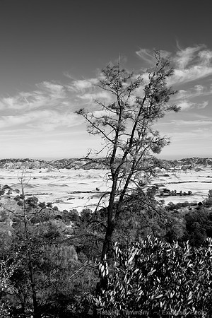 1DX_1419
