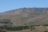 Reno Animal Ark