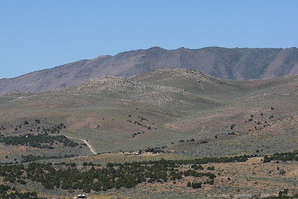 Reno Animal Ark